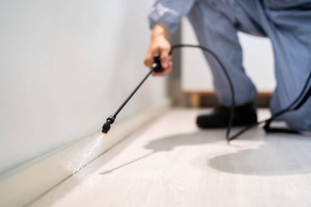 Licensed Cockroach Control service in Utica, NY - Nex Pest Control