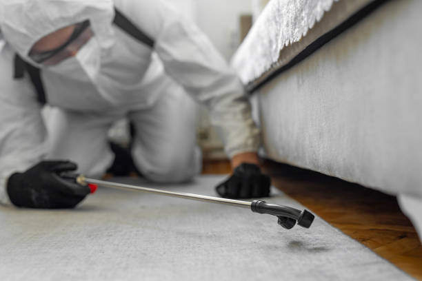 Professional Cockroach Control technician working in Utica, NY